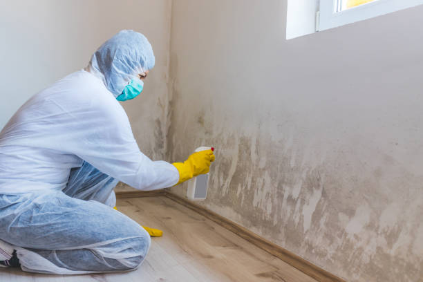 Bathroom Mold Removal assessment in Graham bathroom